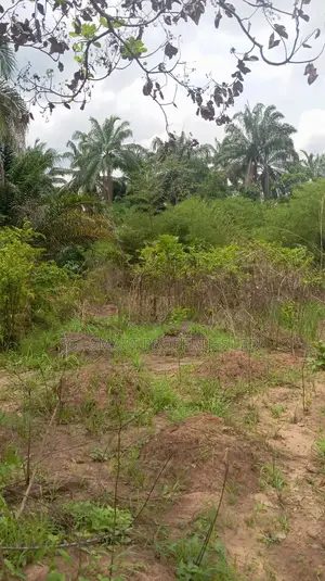 A Plot of Land for Sale at Isiagu Awka