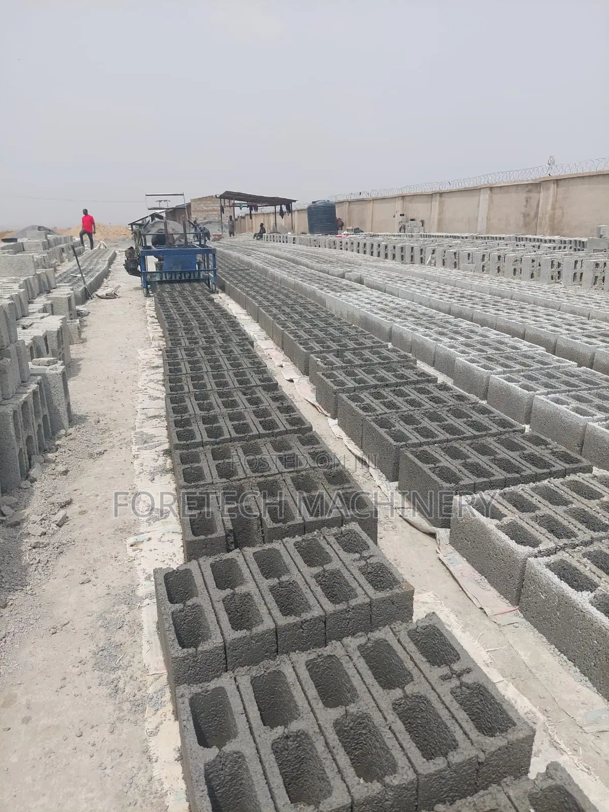 Egg Layer Concrete Block Molding Machine (3000 Blocks Daily)