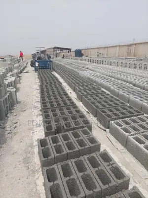 Egg Layer Concrete Block Molding Machine (3000 Blocks Daily)