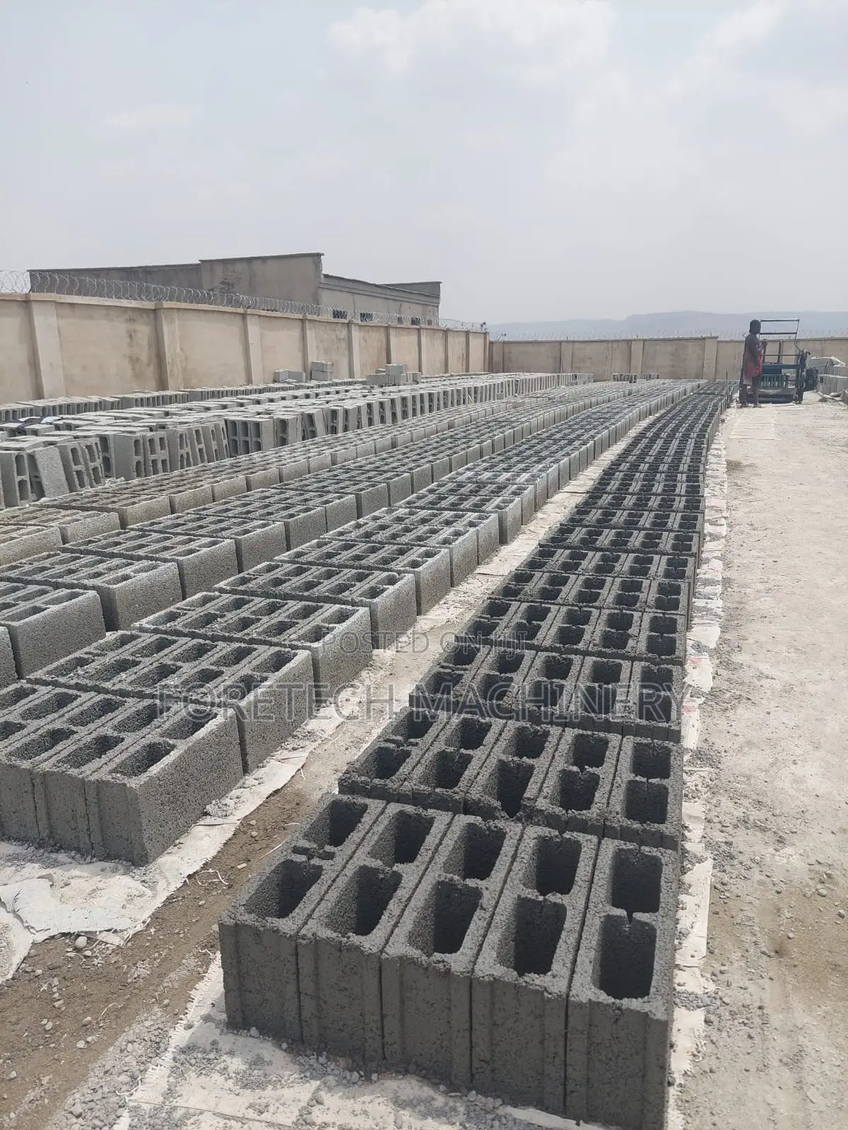 Egg Layer Concrete Block Molding Machine (3000 Blocks Daily)