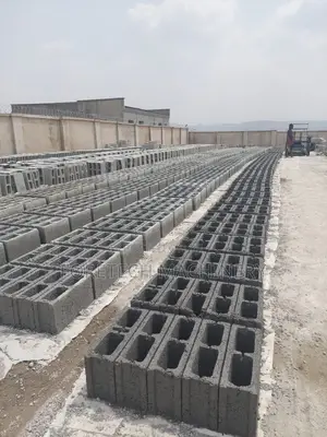 Egg Layer Concrete Block Molding Machine (3000 Blocks Daily)
