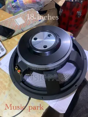 Naked Speaker JBL 18 Inches