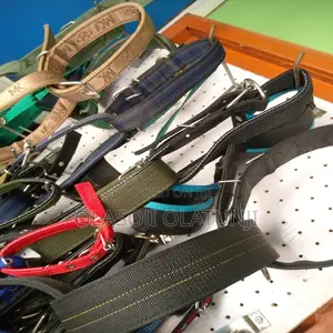 Photo - Dog Belts Collar