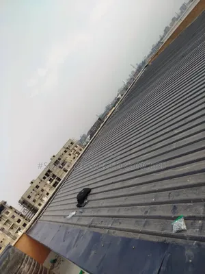 Building Roofing Contractors