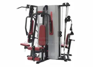 Five Multi-Station Gym