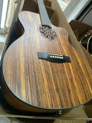Sweet Smiger Lg 09 Eq Electro Acoustic Guitar