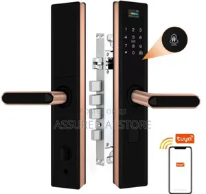 Tuya Wifi Smart Lock With Big Mortice