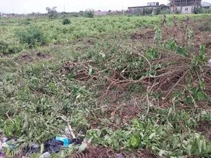 Great Roi Land Size 677, 881sqm Facin Bank Anthony Ikeja