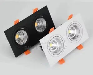1pcs Double Square Led Downlight Light Cob Ceiling Spotligh