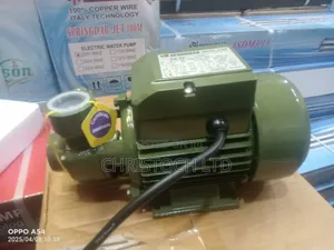 Spring Dab Surface Pump /0.5hp