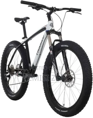 Big Tyre Bicycle