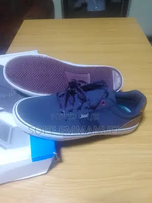 Brand New Bass and Levis Sneakers!