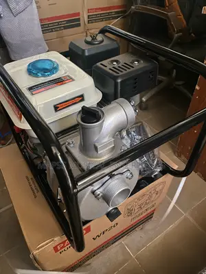 Pavo Punda Wp30 Water Pump