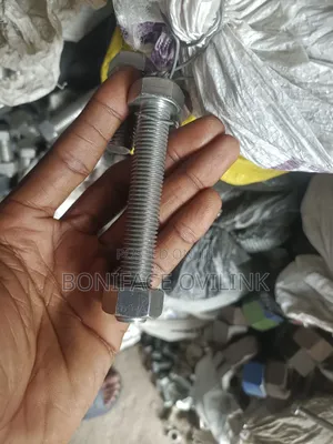 16mm Thickness × 4 Inches Stainless Bolt
