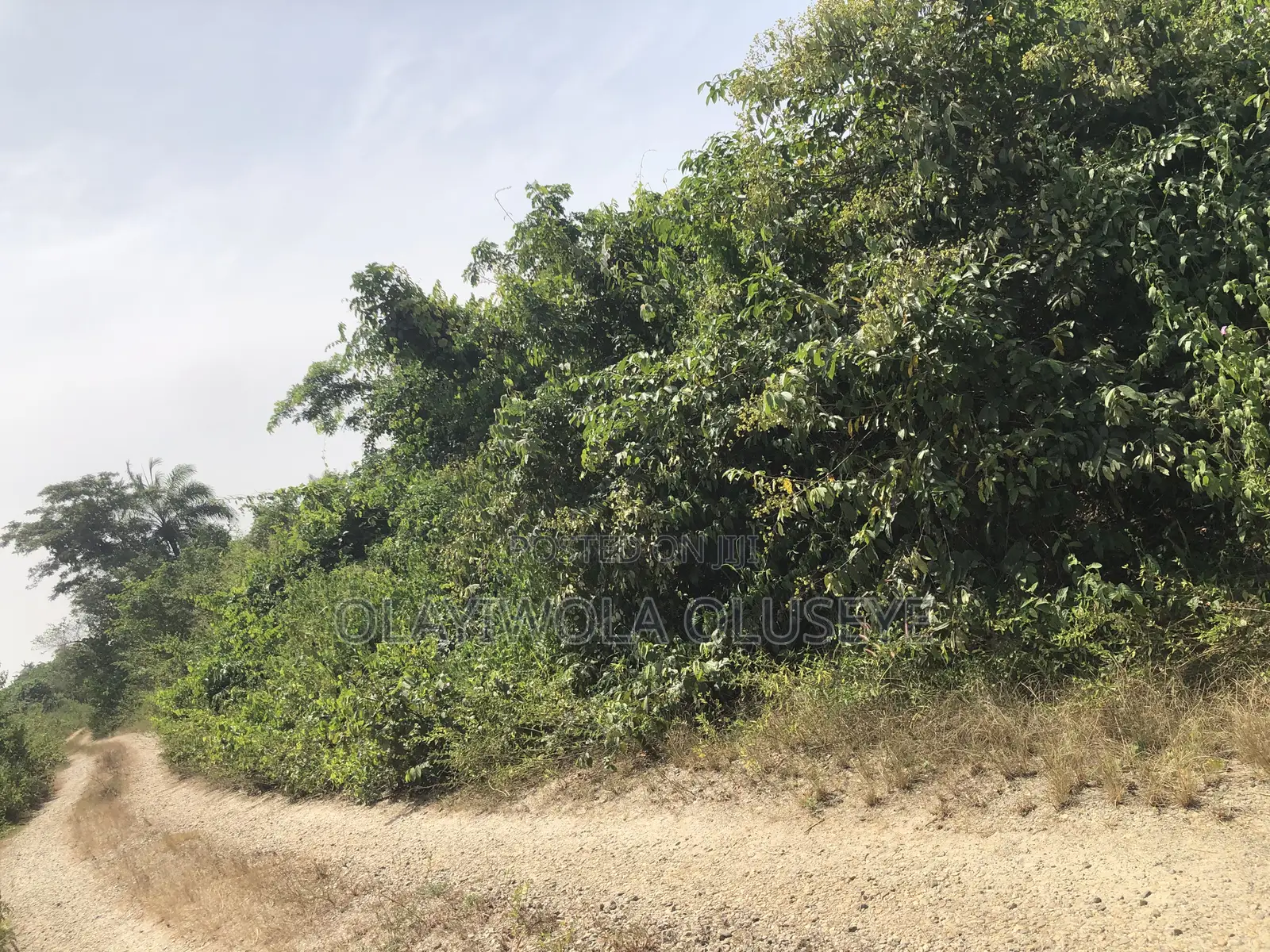 Alabata Village Agric Farmland in Ogun State, Nigeria