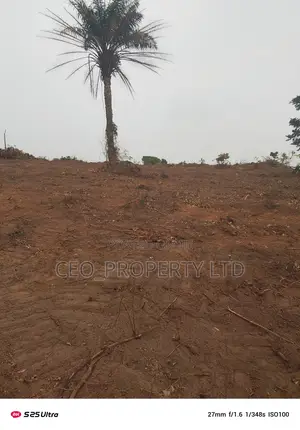 Government Approved Farm Lands Epe