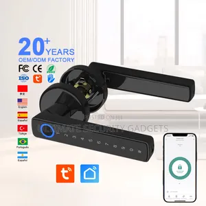 Tuya Smart Wi-Fi Intelligent Mini Handle Door Lock