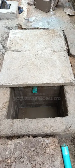 Build A Biodigester To Avoid Snake In Your Closet.
