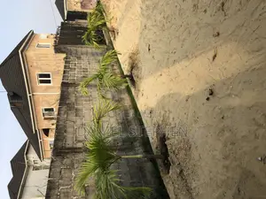 Planting and Landscaping Service Any Where in Nigeria