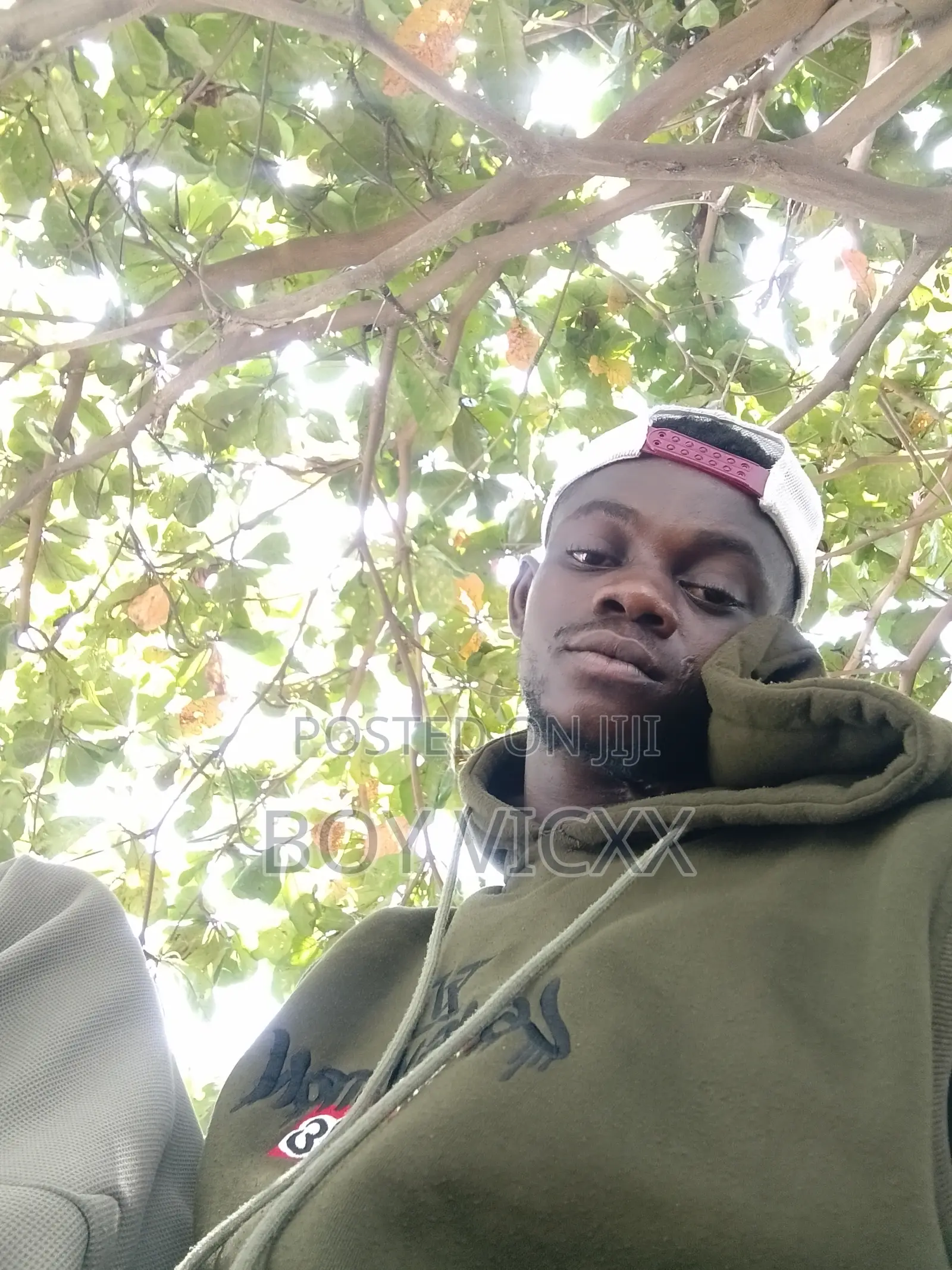 Dispatch Rider