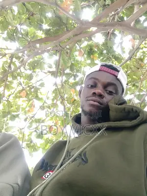 Dispatch Rider