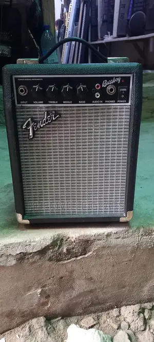 Home Use Bass Combo Speaker.
