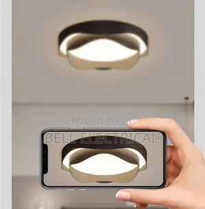 Nordic Flowers Art Led Ceiling Lamp Minimalist Bedroom