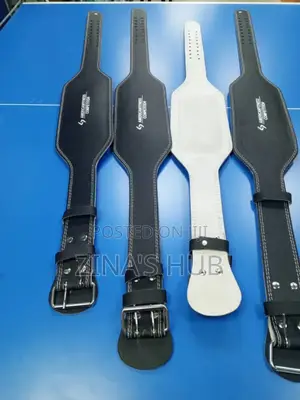 Weight Lifting Belt