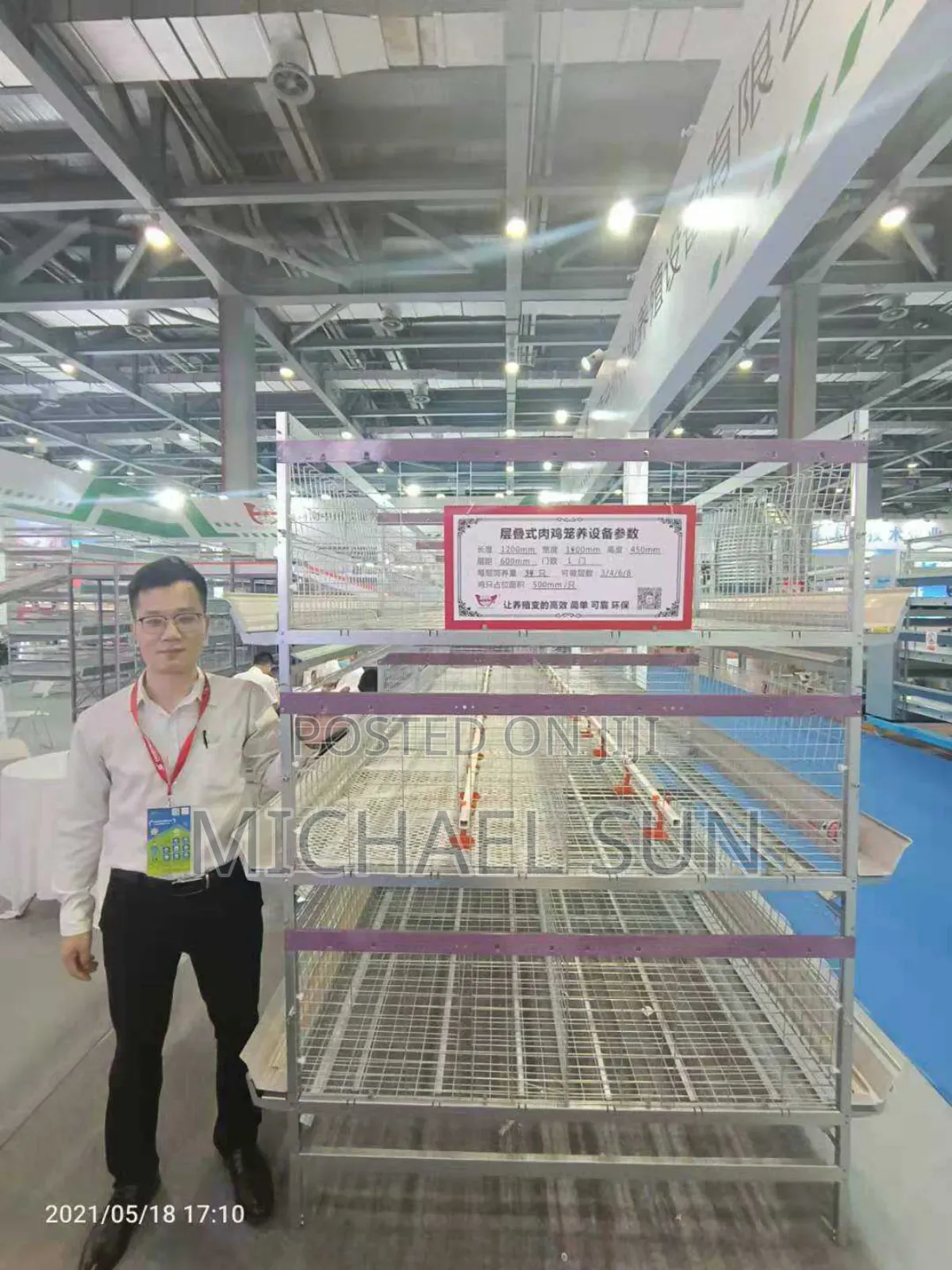 Fully Automatic Battery Cages