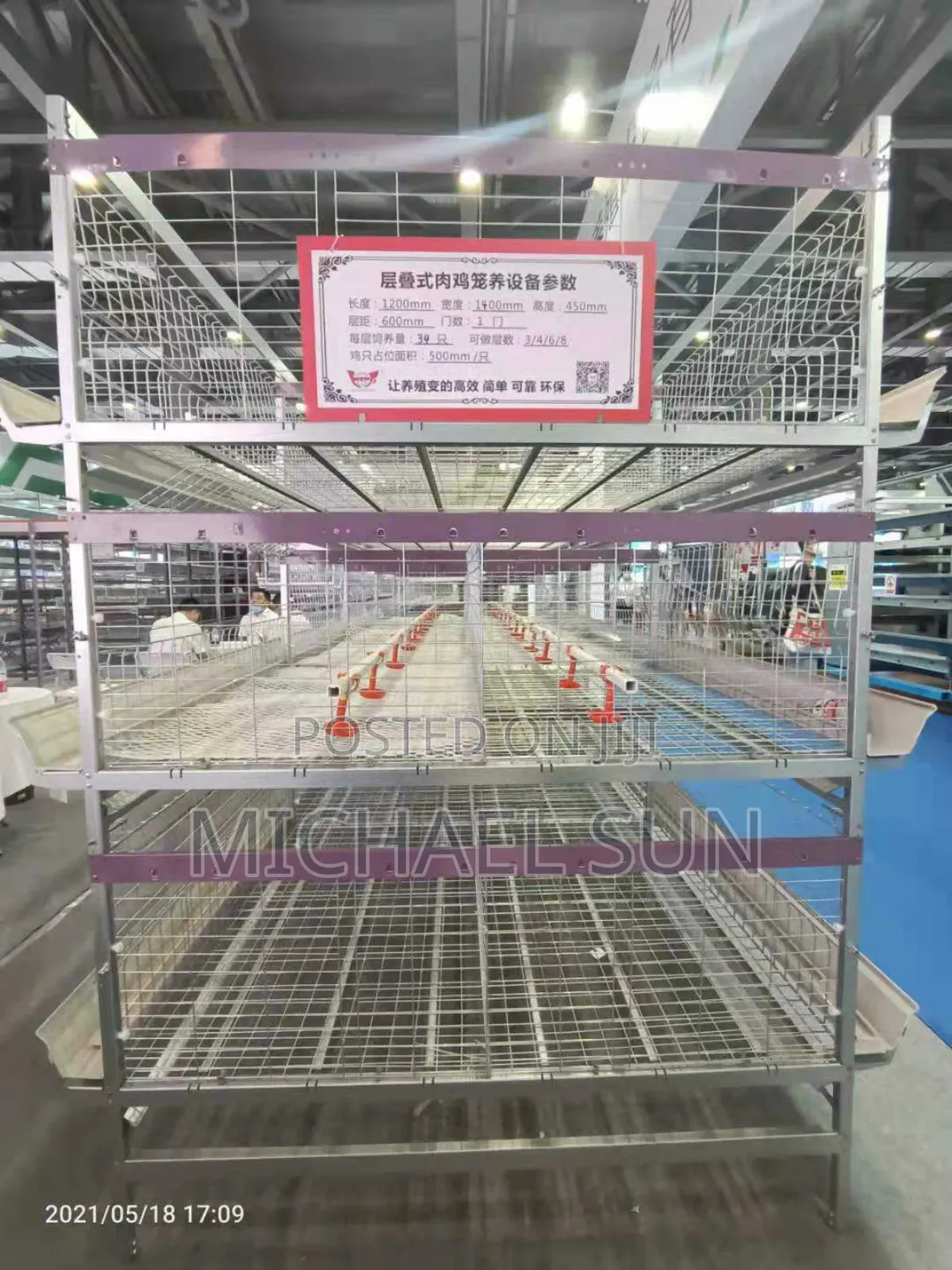 Fully Automatic Battery Cages