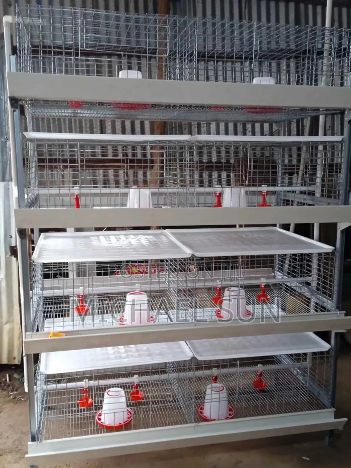 Fully Automatic Battery Cages