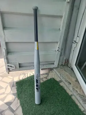 Baseball Bat Heavy