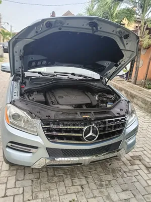 Mercedes-Benz M Class 2015 Silver