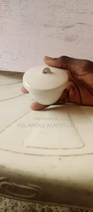 Laboratory Crucible 50 Ml