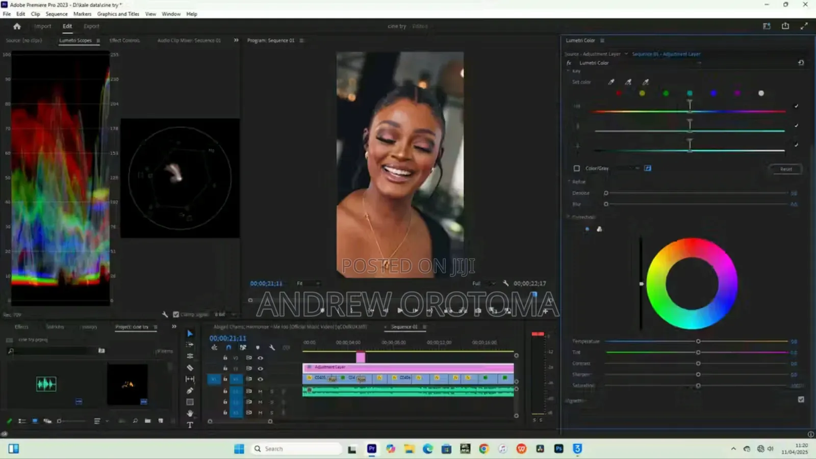 Video Editor Professional