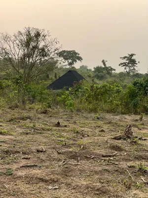 Photo - Plot of Land for Sale