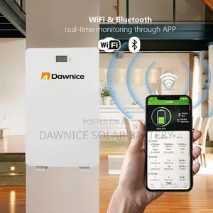 Dawnice 10kwh Wall Mounted Lithium Ion Battery Pack