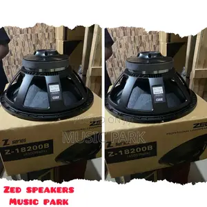 Professional Naked Speakers