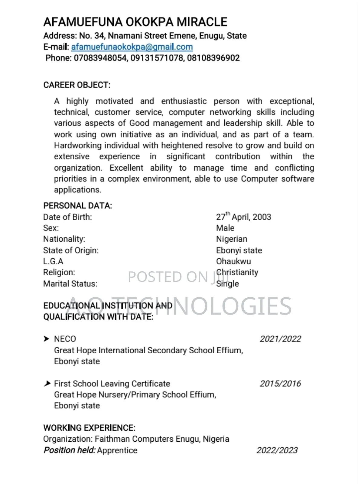 Curriculum Vitae