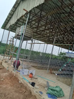 Farms Pens House's (8 Feeets Heights by 39 Feets Lengths).