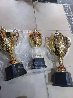 Award Trophy Set