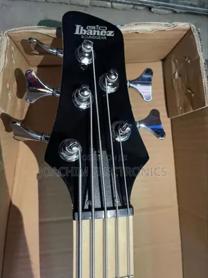 Professional Bass Guitar 5 Strings