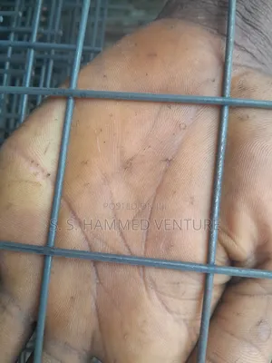 Mil - Steel Mesh Wires (12 Feets Lengths by 6 Feets Heights)