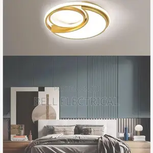 Modern Led Ceiling Lamp Luxury Light