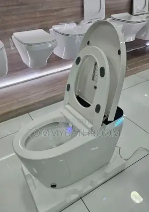 Standard Sensor Water Closet