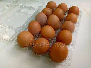 By 15 Transparent Egg Crates