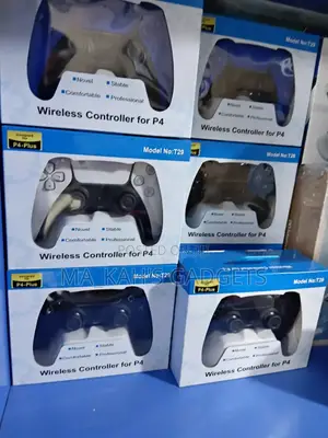 Ps4 Pad (Controller)