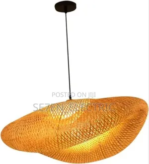 Single Dropping Pendant Light