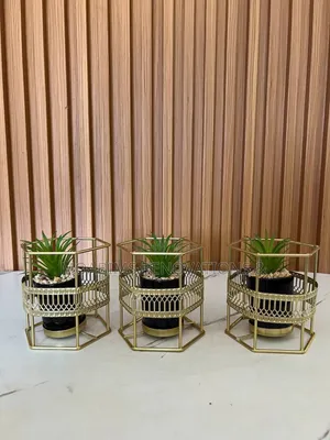 Hexagon Flower Decor for Tv Console 10,500 Each