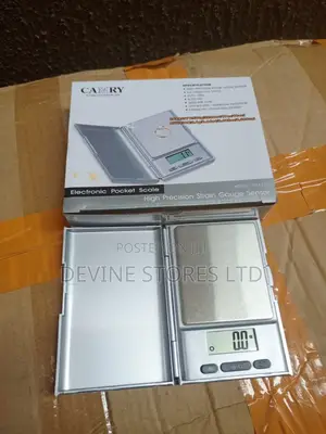 Small Camry Pocket Scale